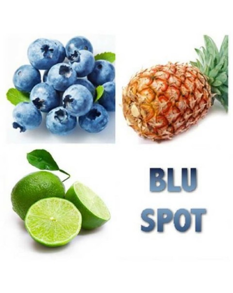 Blu Spot by Pink Spot Nicotine Salt E-Liquid